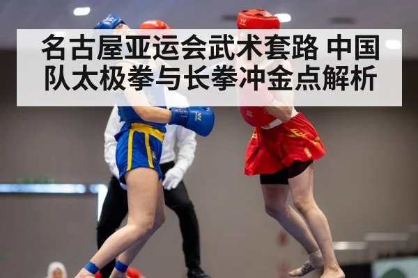 wushu taijiquan performance competition